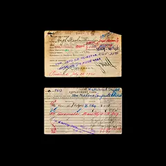 artifacts image of Employment cards