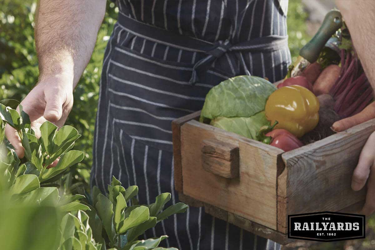 Close up of an individual picking produce. Learn more about Sacramento's farm to fork culture.
