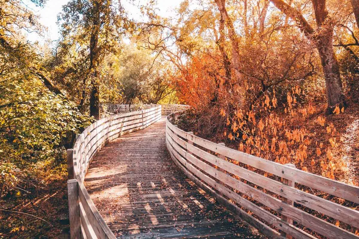 Fall colors in Folsom