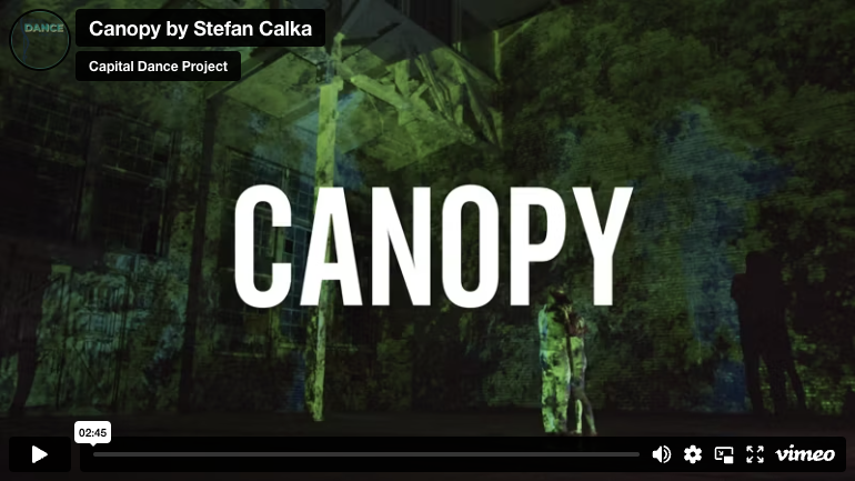 Screen grab of Vimeo video Canopy